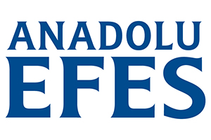 Anadoluefes_logo