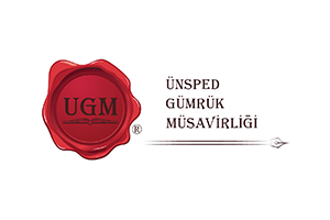 Unsped-Gumruk