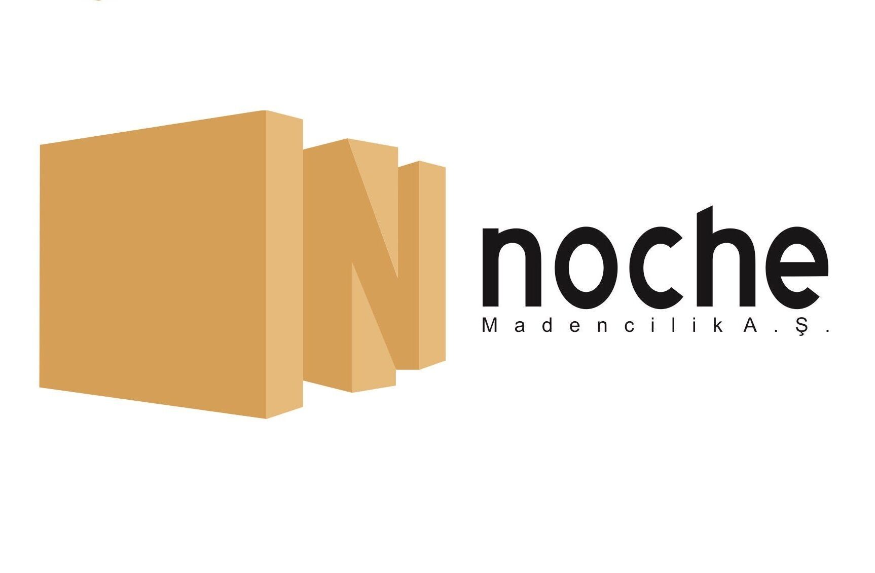 NOCHE logo